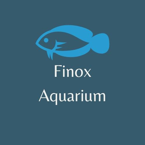 Finox Aquarium