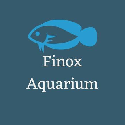 Finox Aquarium