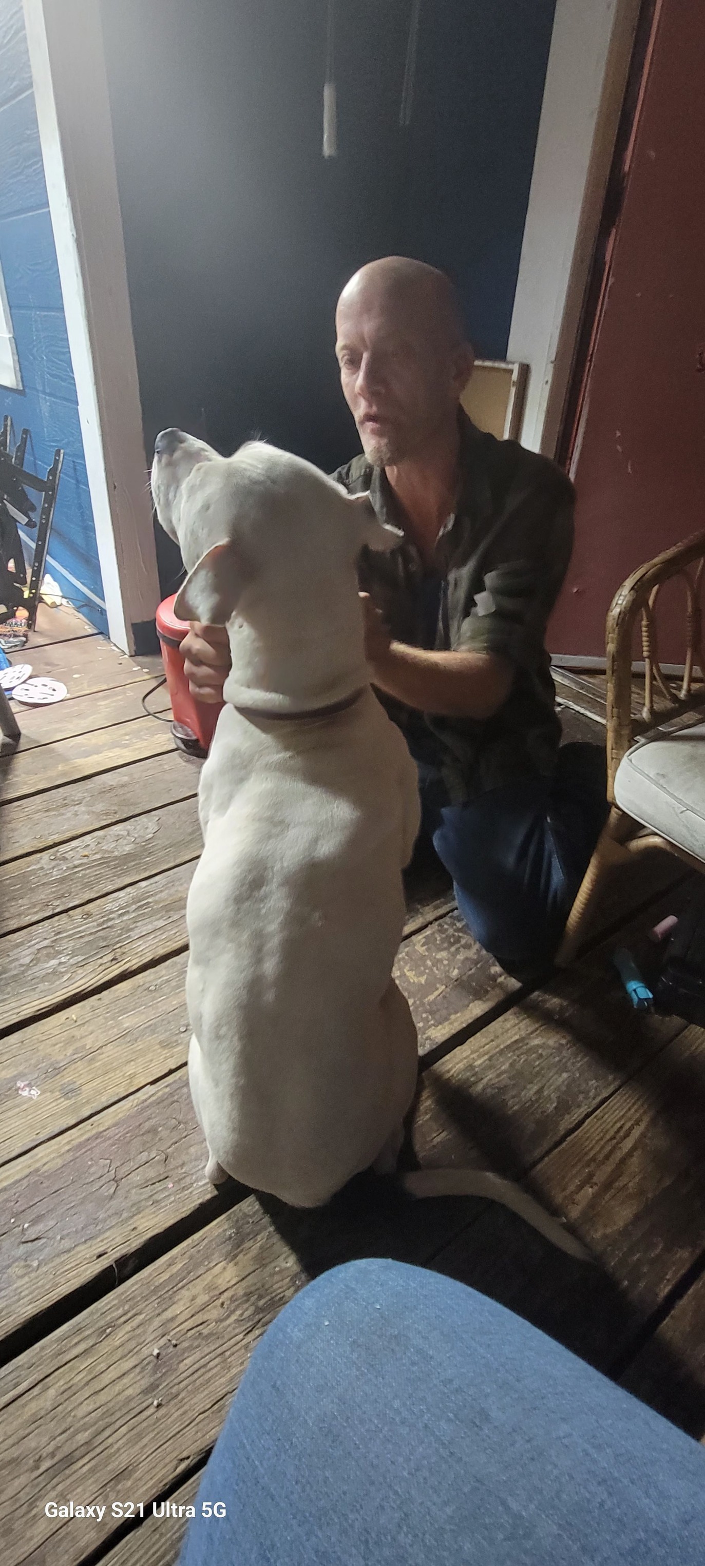 Fight for craigslist pets and the misunderstood "Pit Bull"
