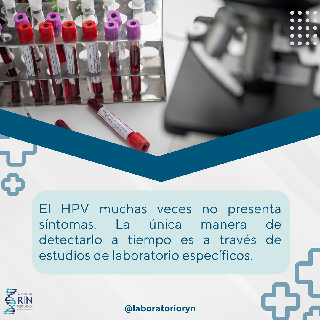 Laboratorio Roldan y Novak | San Martín de los Andes