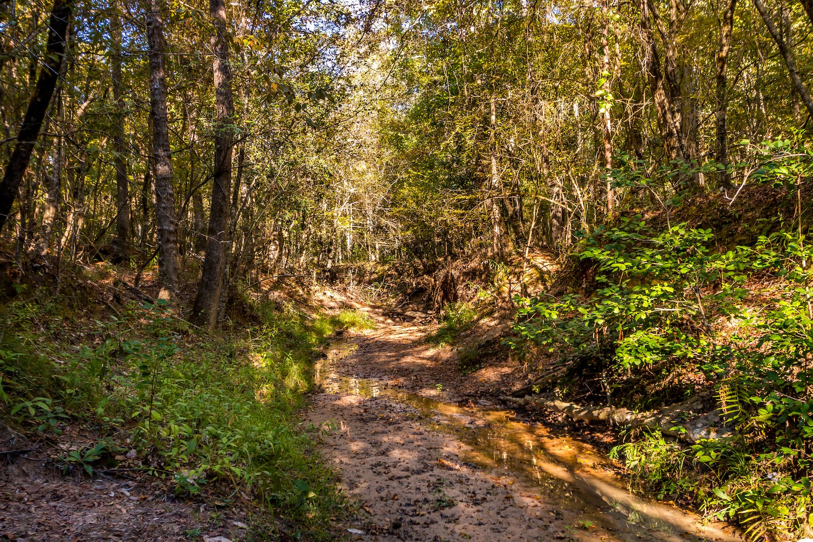 Texas - Duck Lake Ranch ⎮ 227 ± Acres Duck Lake Ranch spans 227± acres ...