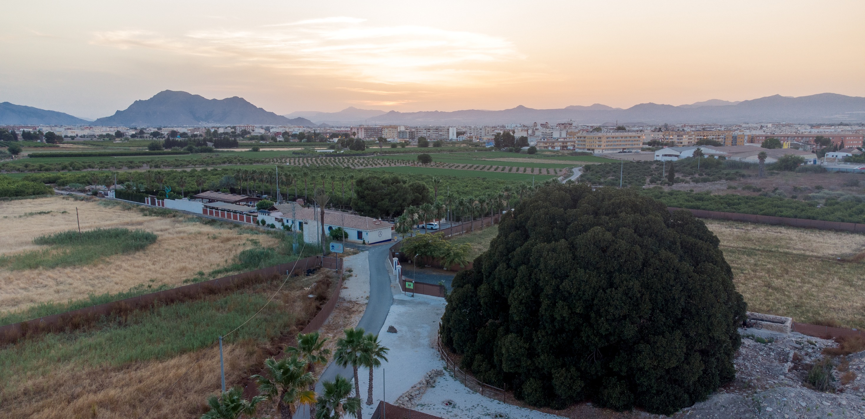 Turismo Almoradí - #DescubreAlmoradí #corazóndelavegabaja Así de bonito ...