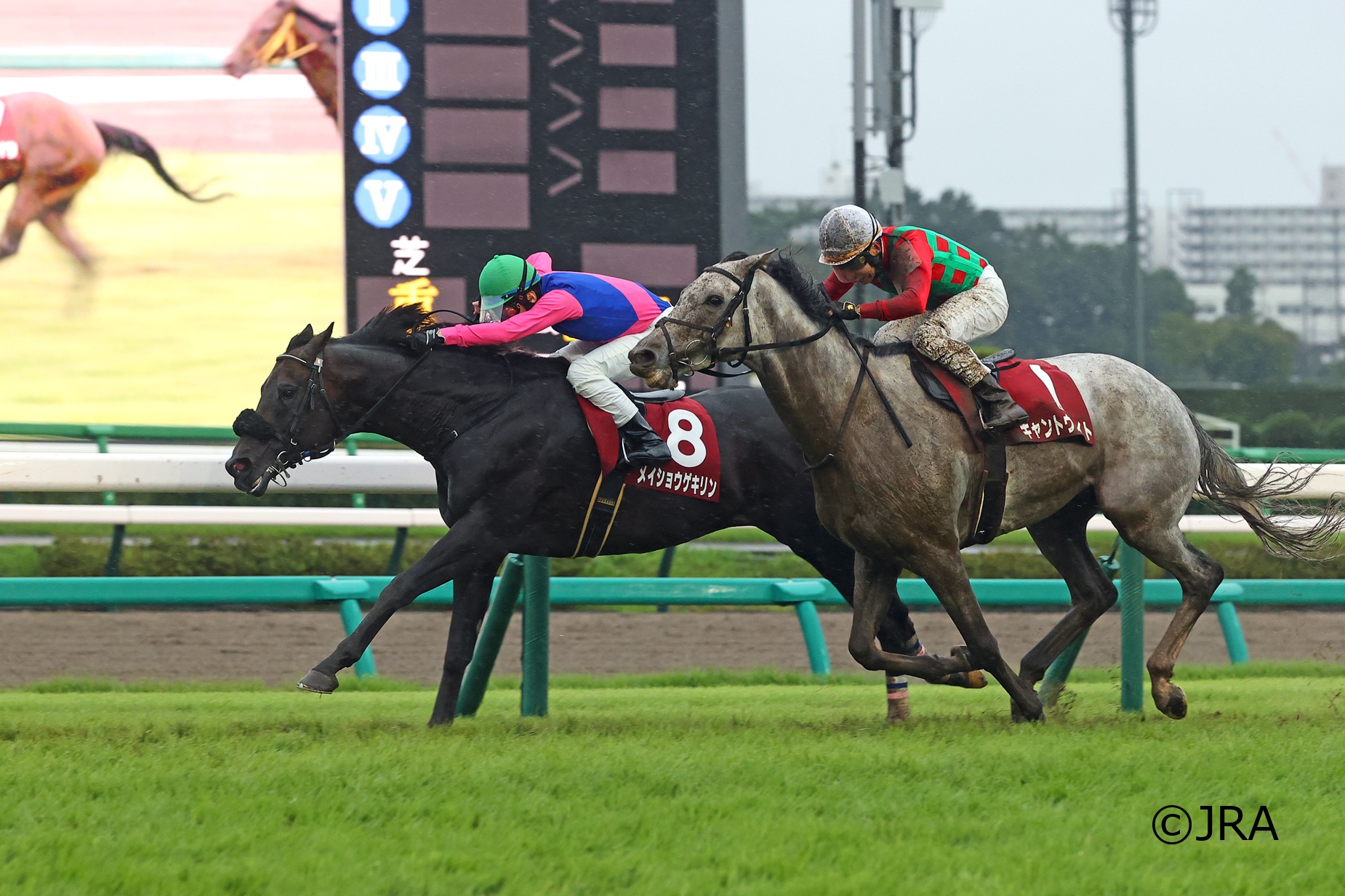 JRA（日本中央競馬会） - 2001年の宝塚記念(GI)を制したのは