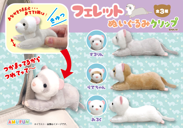 amuse_alpacasso 【ことり隊の紹介パート②】 アミューズの人気