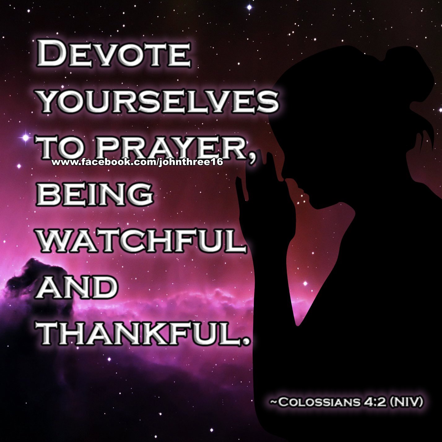 John Three Sixteen - ===Now I am going to post the verse in KJV and NIV ...