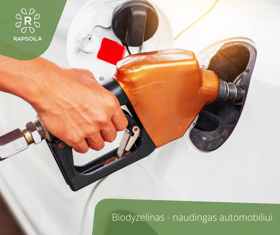 Rapsoila - #Aržinote, kad biodyzelinas naudingas jūsų automobiliui?🚗 ...