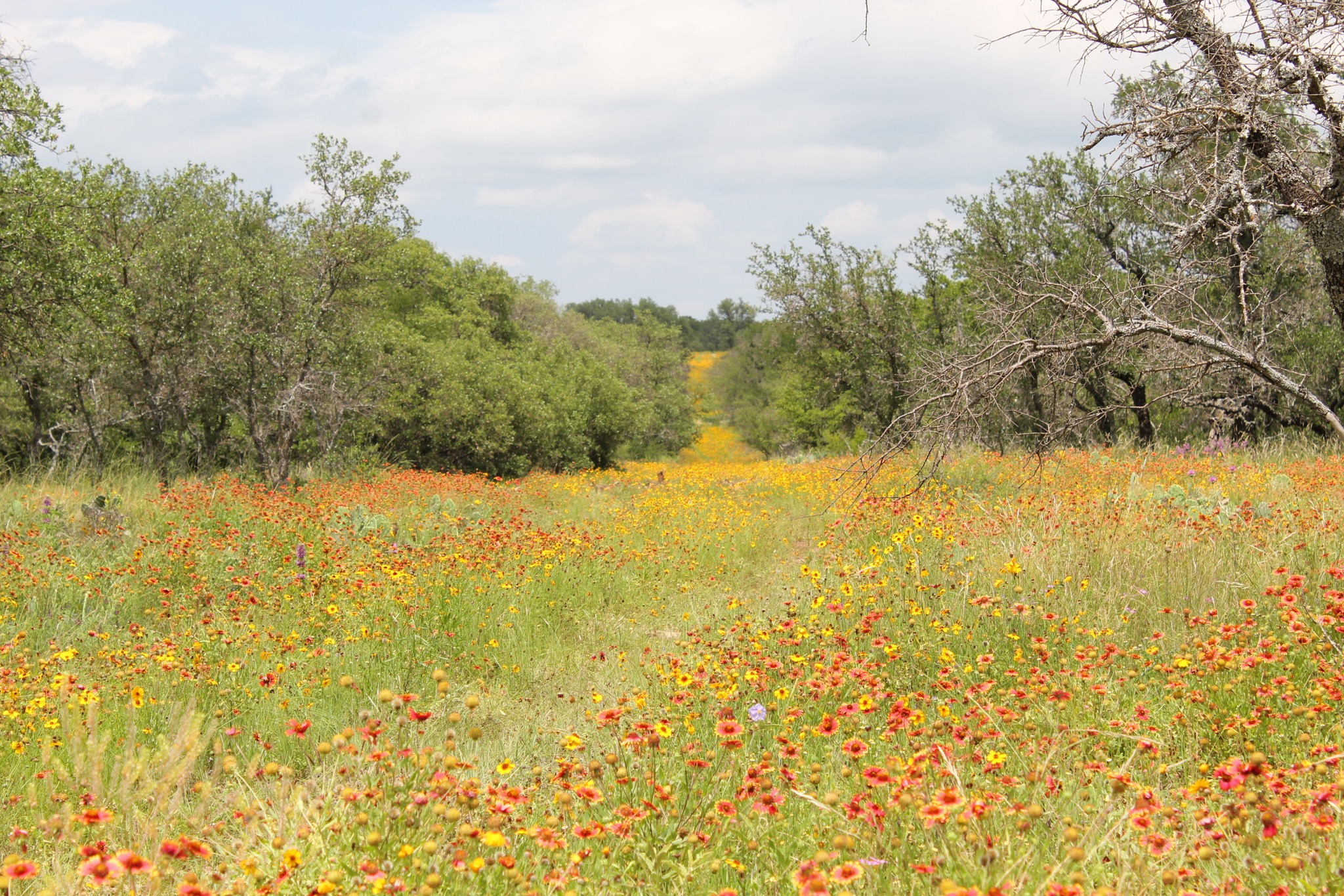 Longspar Ranch | Brownwood TX