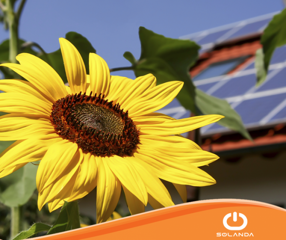 Solanda Solar | San Salvador