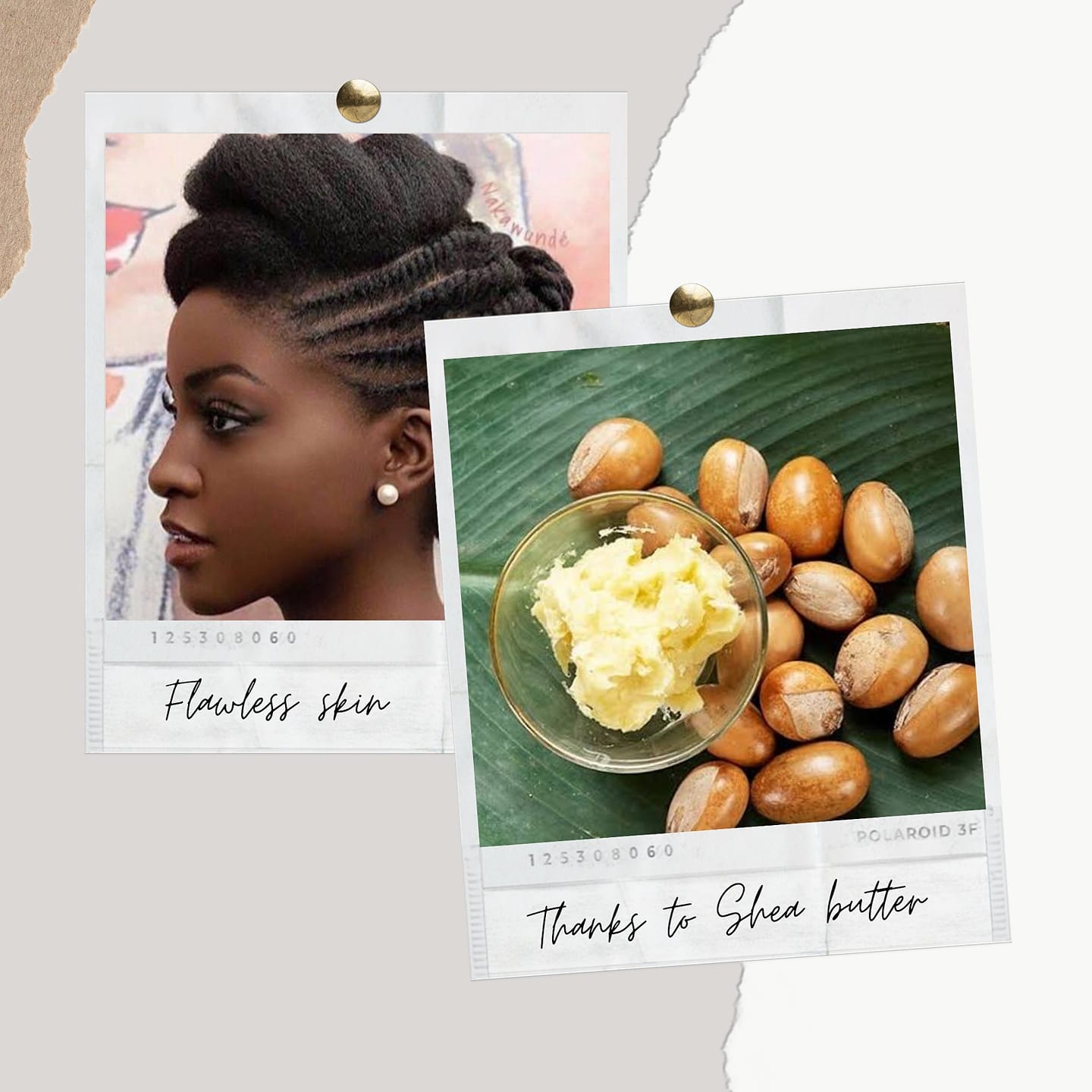 Elcapi Enterprises - Unrefined shea butter from northern Ghana for kshs ...