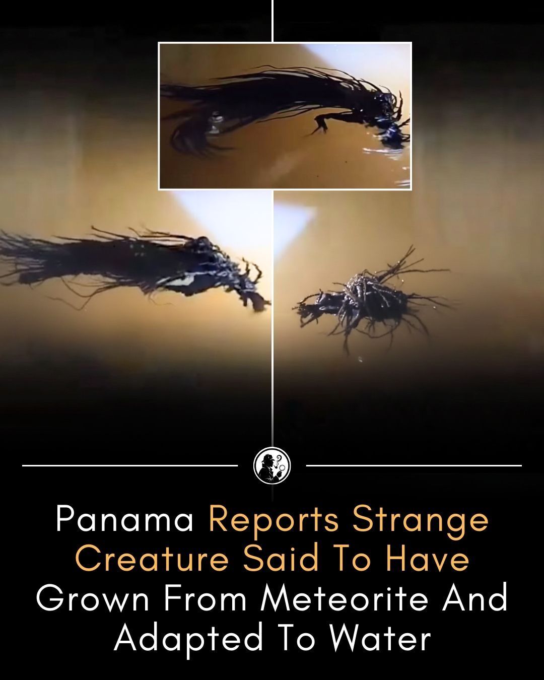 Hidden Facts - Bizarre and unsettling claim from Panama... | Facebook