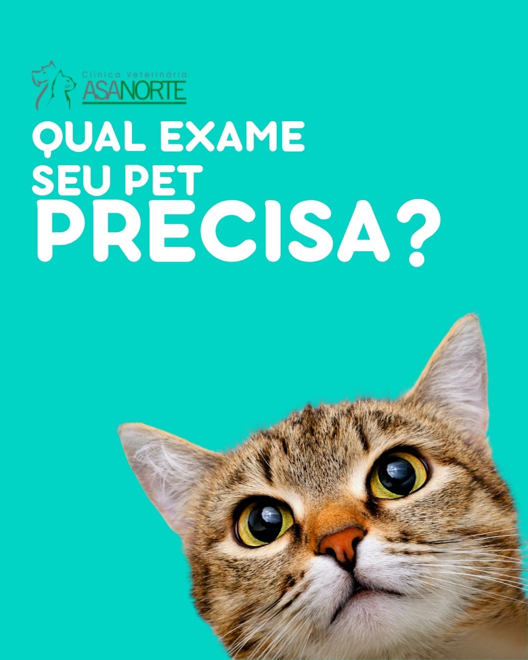 CVAN - Qual exame seu pet precisa? Confira a lista completa de exames ...