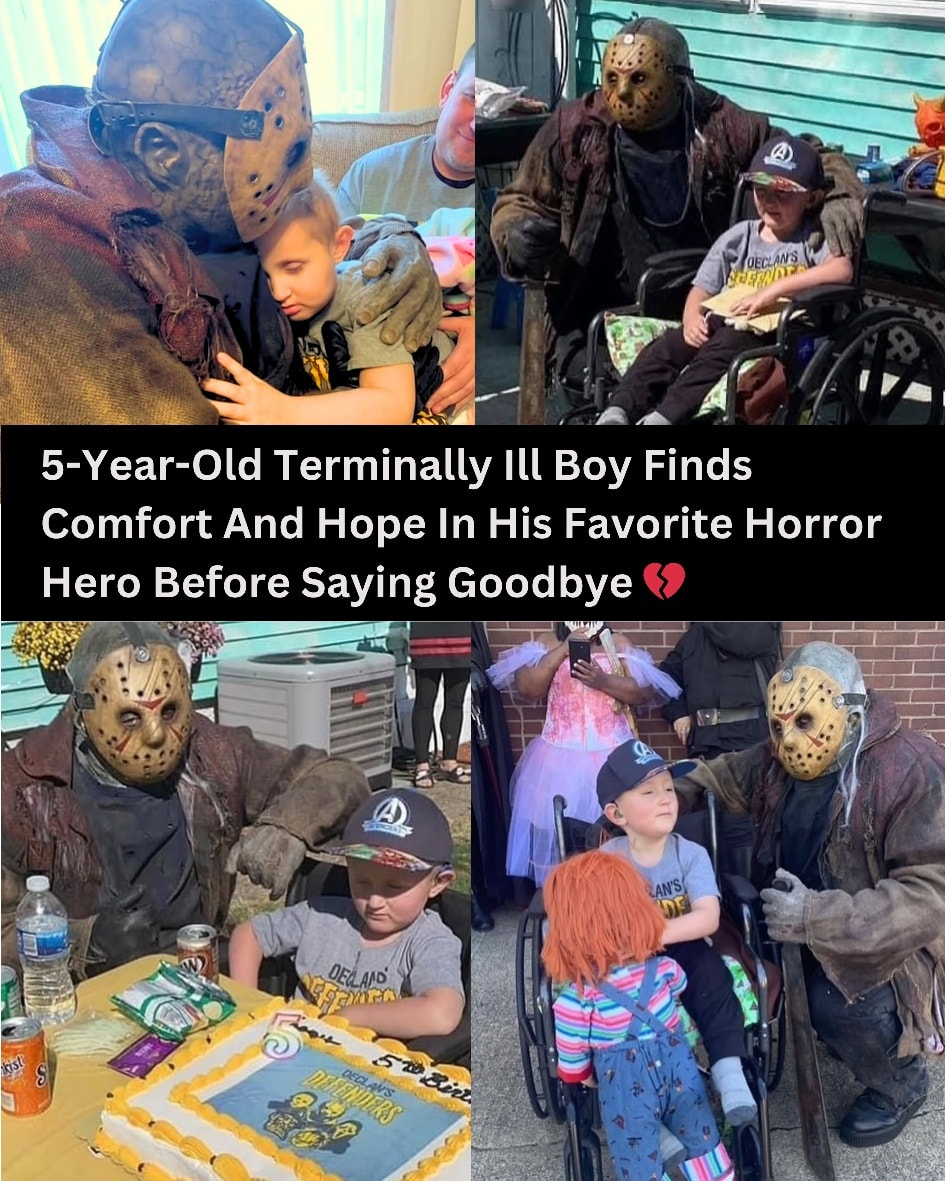 Some - Declan McCombs was just 5 years old, battling terminal cancer ...