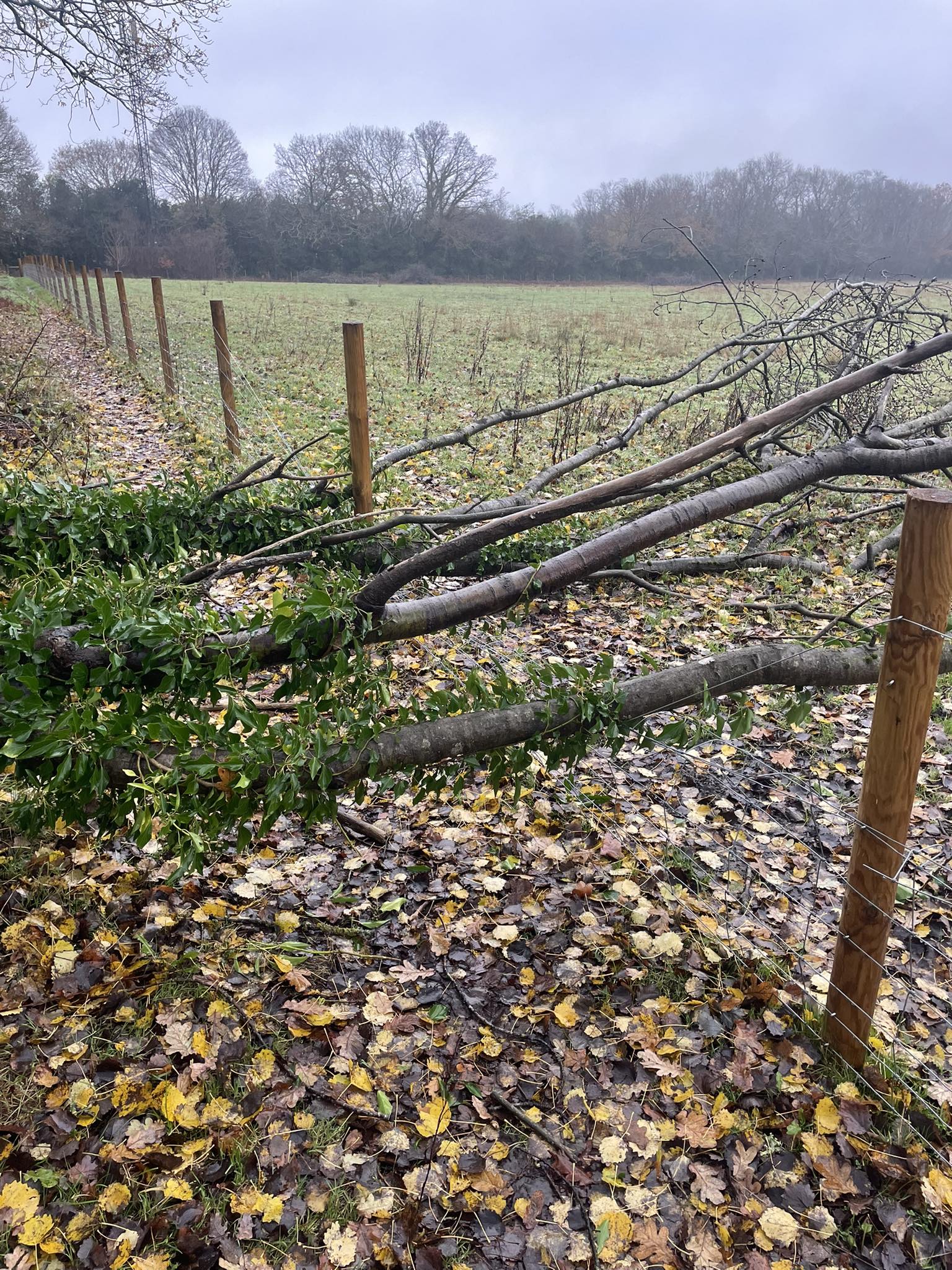 Stones Throw Farm | Arundel
