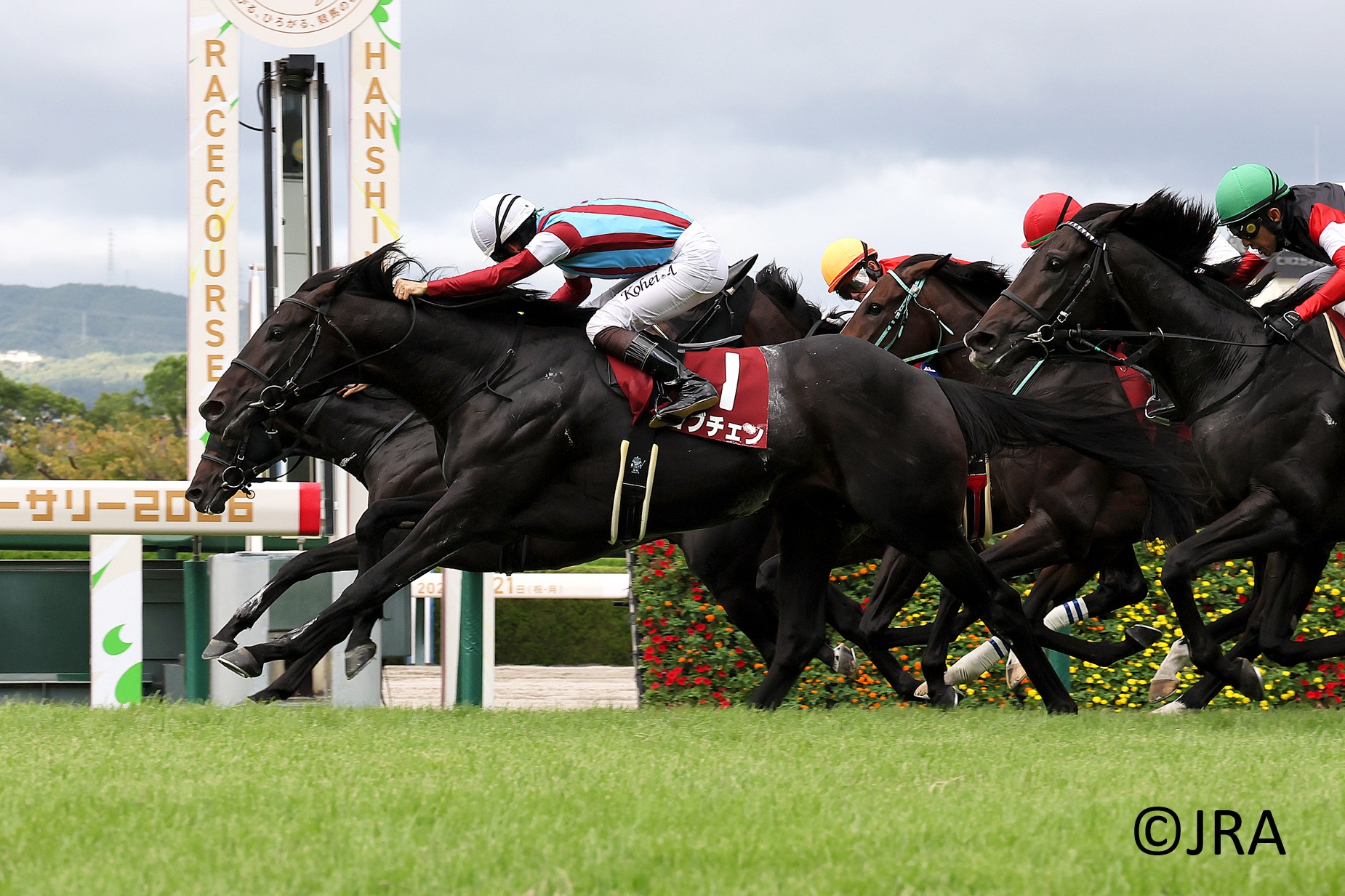 JRA（日本中央競馬会） - 1999年の札幌記念（GII）を優勝したのは芦毛