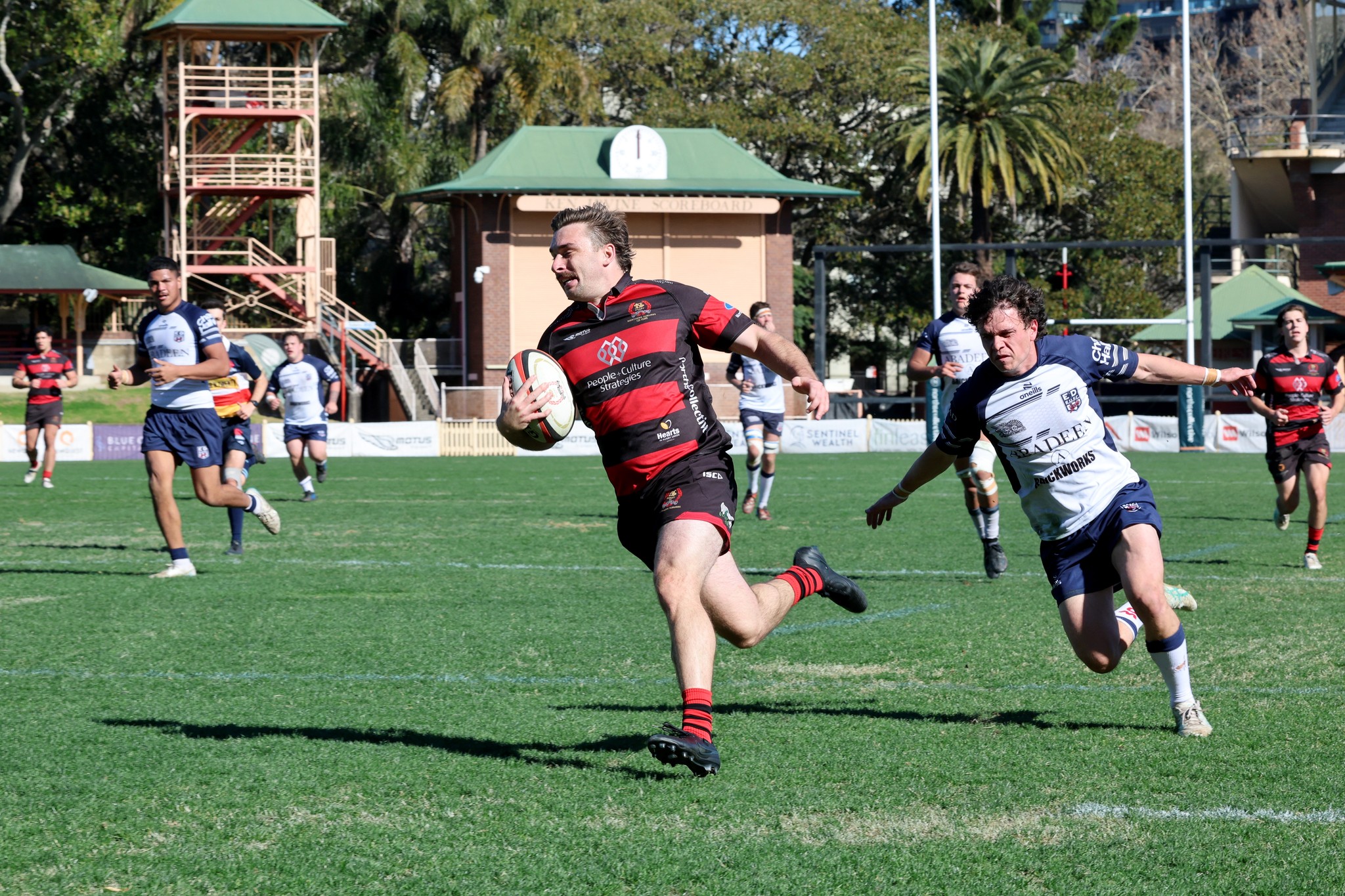 Northern Suburbs... - Northern Suburbs Rugby Football Club