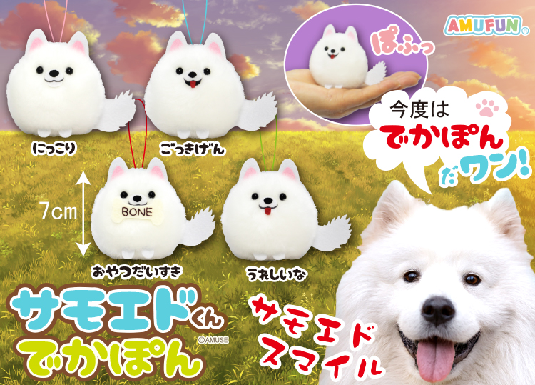 ≪8月の新商品 / New products in August≫ ☆くったり柴犬元気