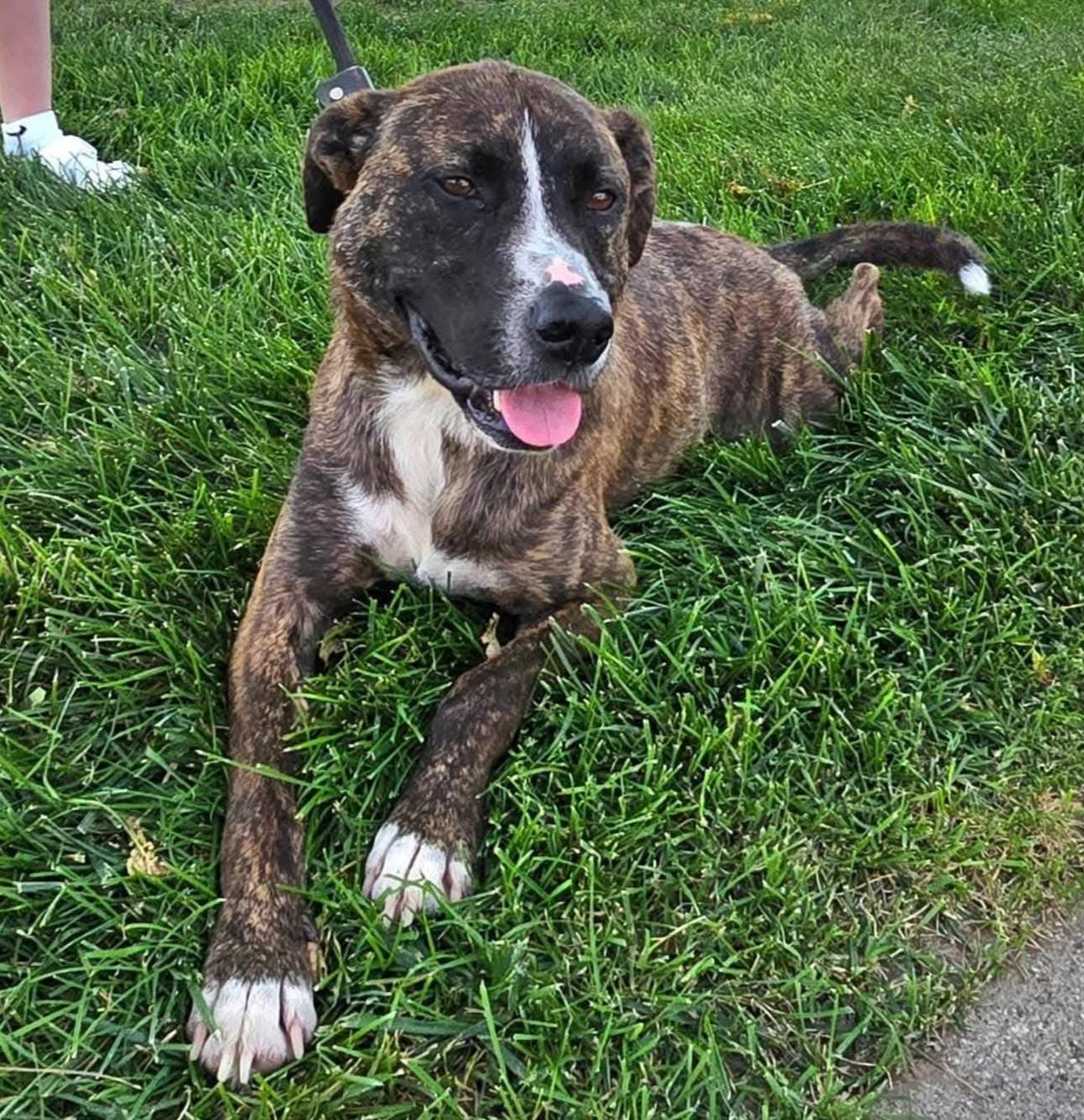 💚 Sprout is asking for something simple today… PLEASE SHARE THIS