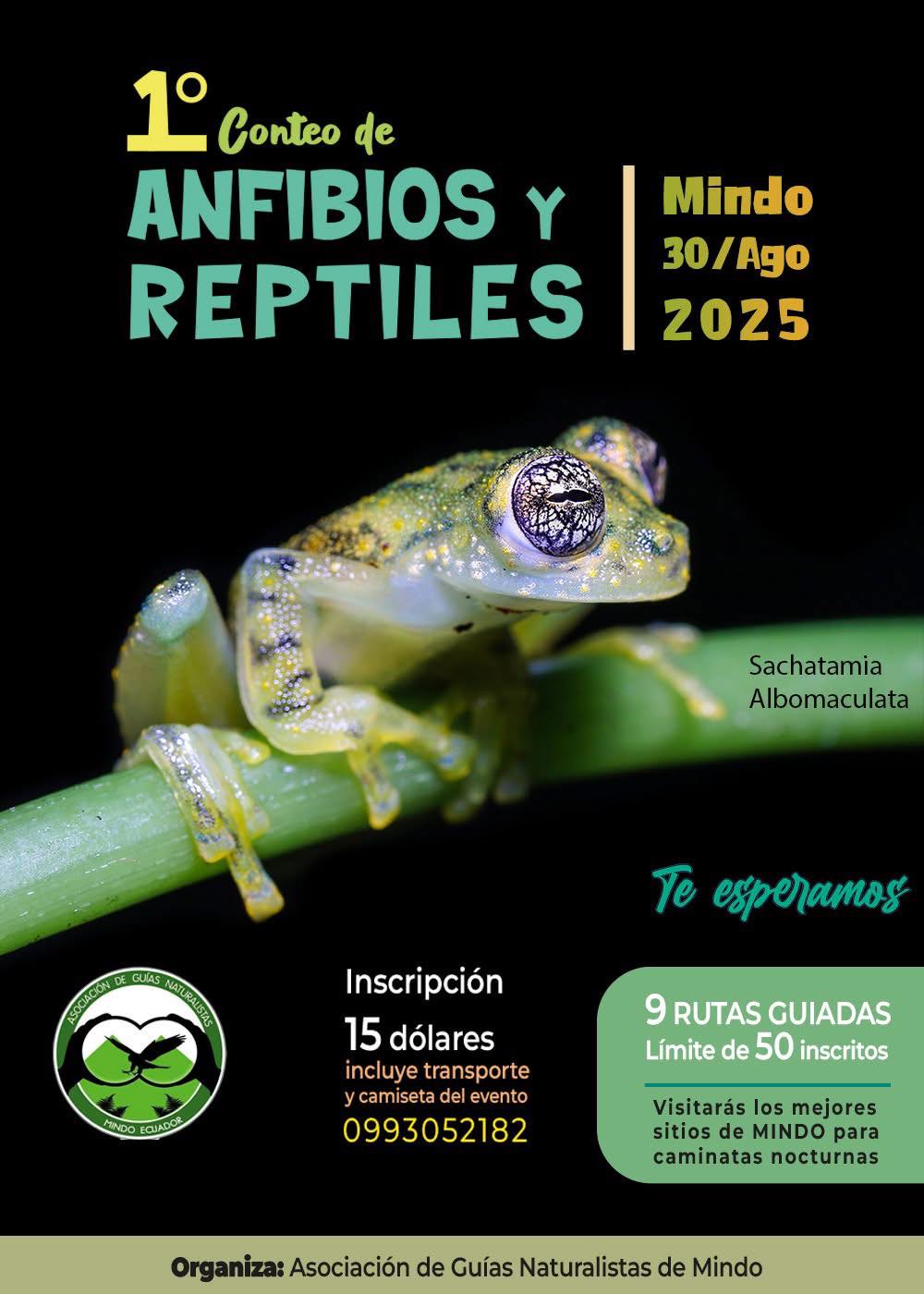Noticias - 𝗣𝗥𝗜𝗠𝗘𝗥 𝗖𝗢𝗡𝗧𝗘𝗢 𝗗𝗘 𝗔𝗡𝗙𝗜𝗕𝗜𝗢𝗦 𝗬 𝗥𝗘𝗣𝗧𝗜𝗟𝗘𝗦 𝗗𝗘 𝗠𝗜𝗡𝗗𝗢 🦎🐸 📌 ...
