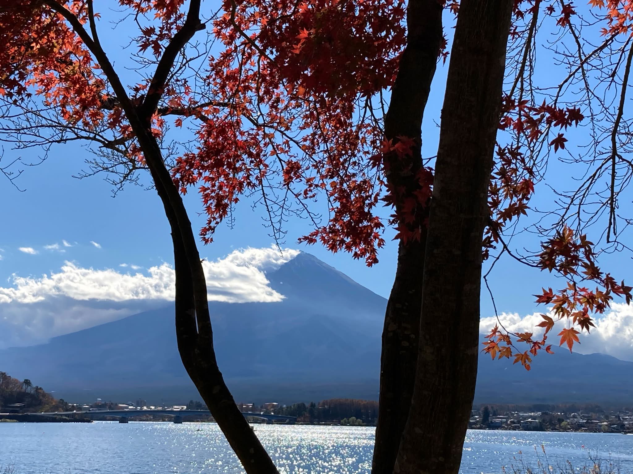 2026/8/14/7:32/富士山/富士