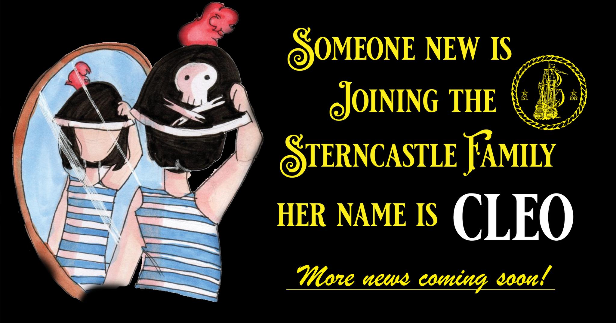 Sterncastle - Sterncastle Publishing is proud to introduce our next ...