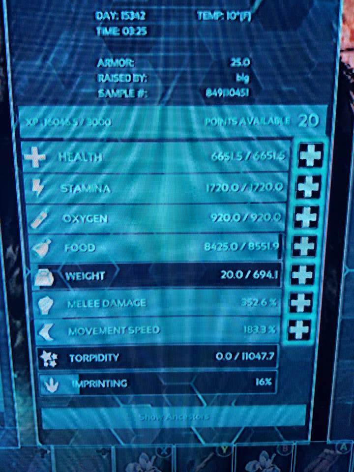 Œuf D'Ankylosaure (Anky) ID 592 MD Cyan Pour Ark: Survival Ascended - PVE, Toutes Plateformes