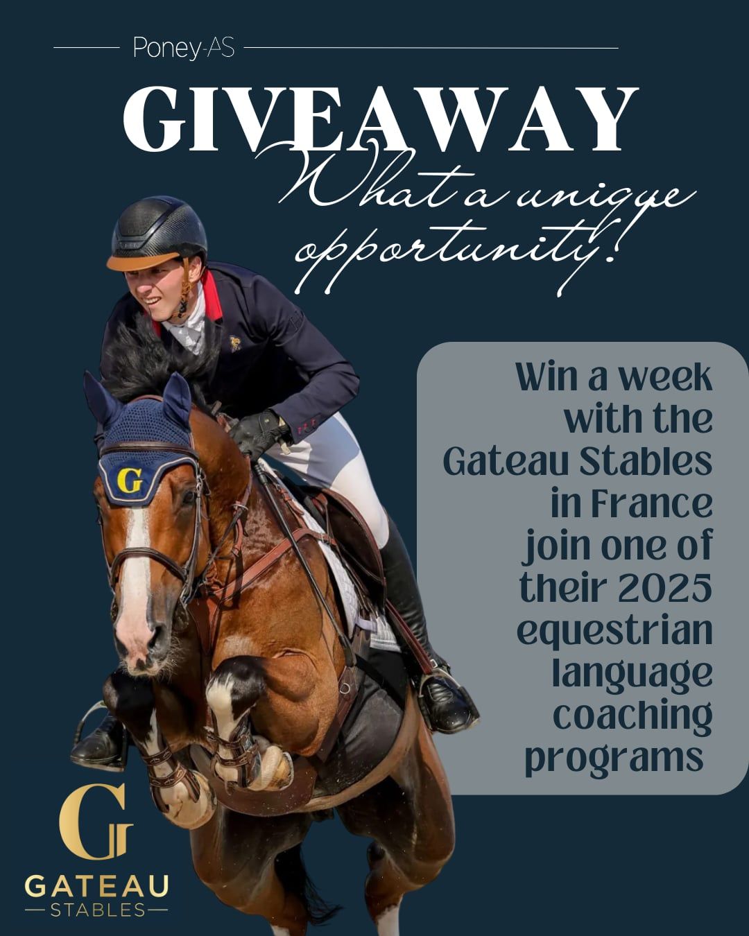 Poney - EXCEPTIONAL 🎁🤩 WIN A WEEK WITH THE GATEAU STABLES IN FRANCE ...