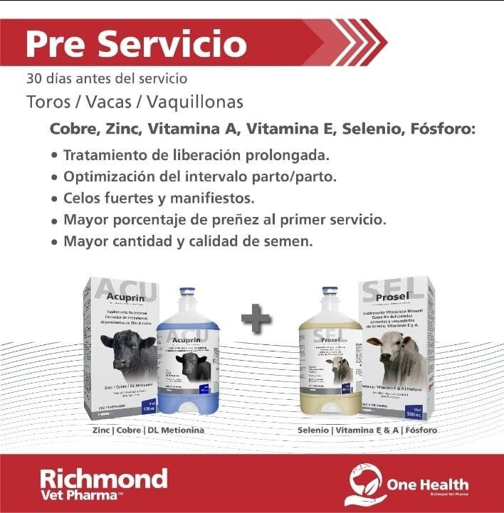La suplementación con... - El pony Distribuidor veterinario