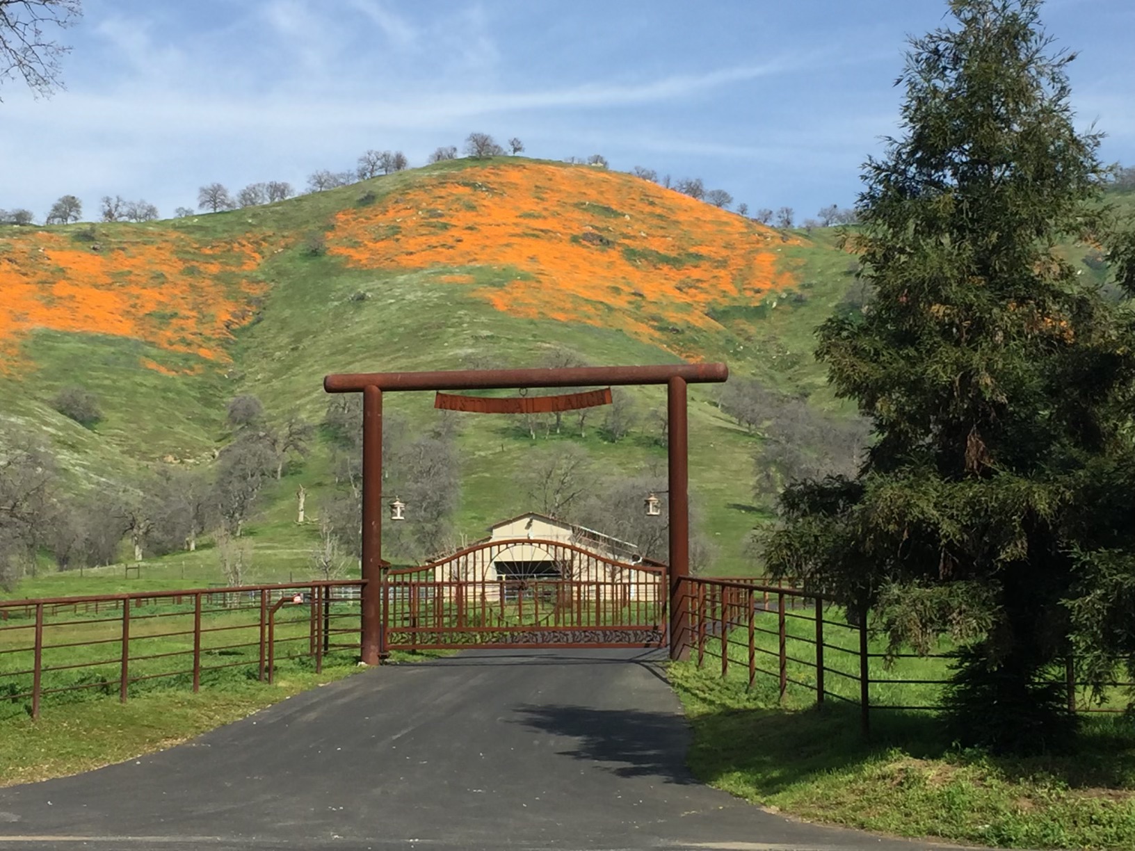 Rusty Rail Ranch Estate Sale