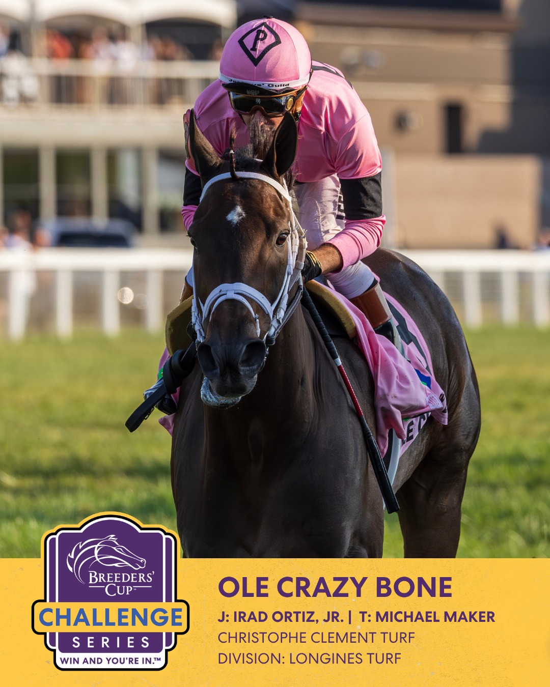 競馬Breeders' Cup 2021 Champion ジャージジャケット 競馬Breeders' Cup 2021 Champion ジャージジャケット 競馬Breeders