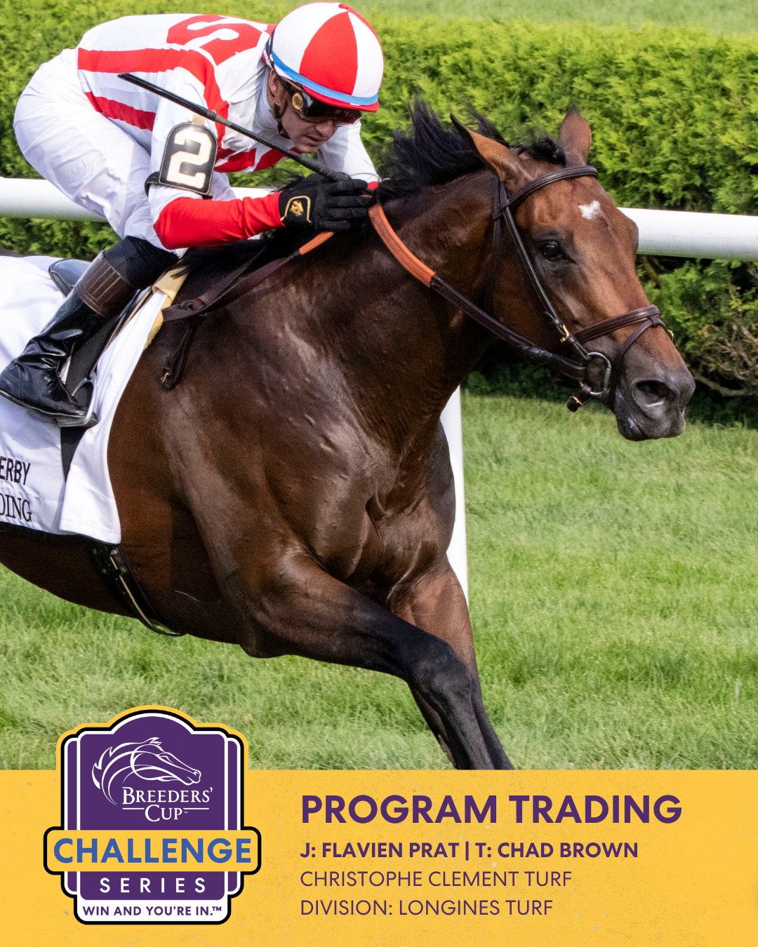 競馬Breeders' Cup 2021 Champion ジャージジャケット Breeders' Cup World - Breeders' Cup World Championships