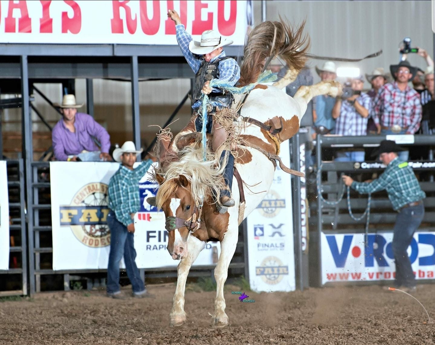 JJ Elshere and Maria Bartiromo of... - Tooke Bucking Horses | Facebook