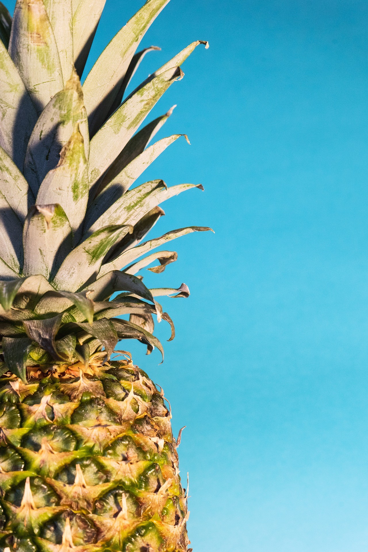 The Strong Pineapple