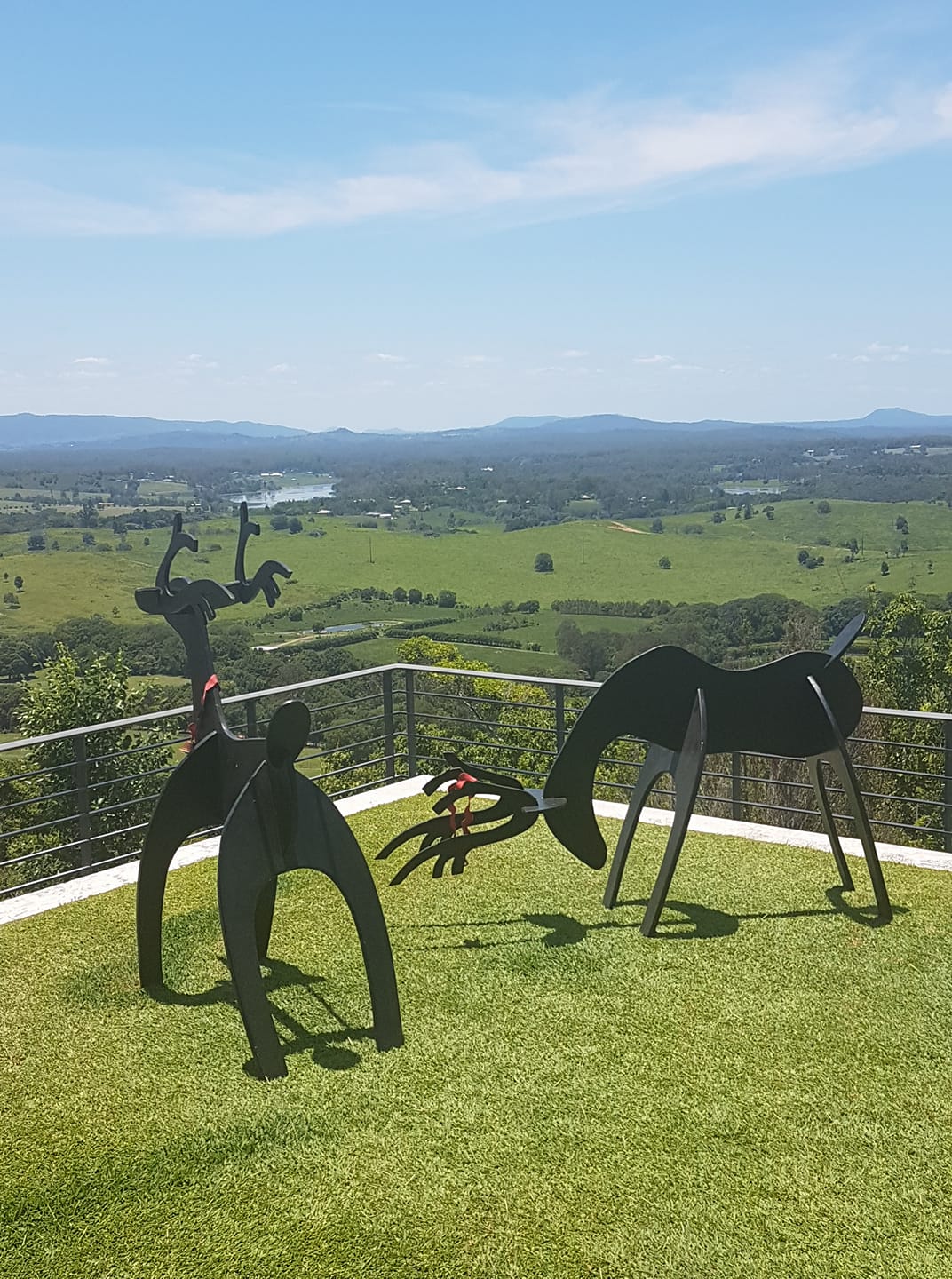 Dynamic Turf Management | Noosa QLD