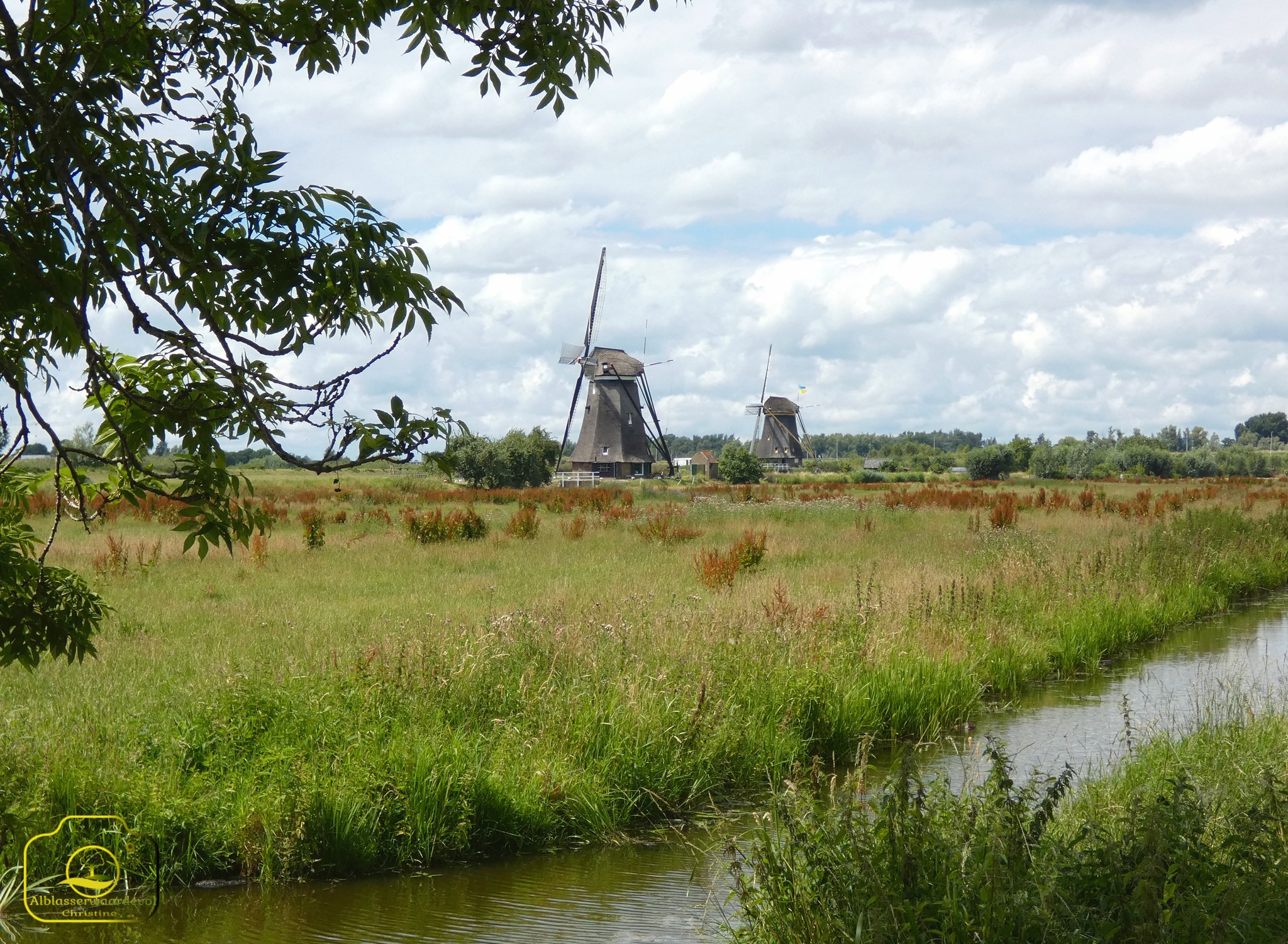 Alblasserwaardevol - Eeuwenoude molens, nog altijd in beweging. Aan de ...