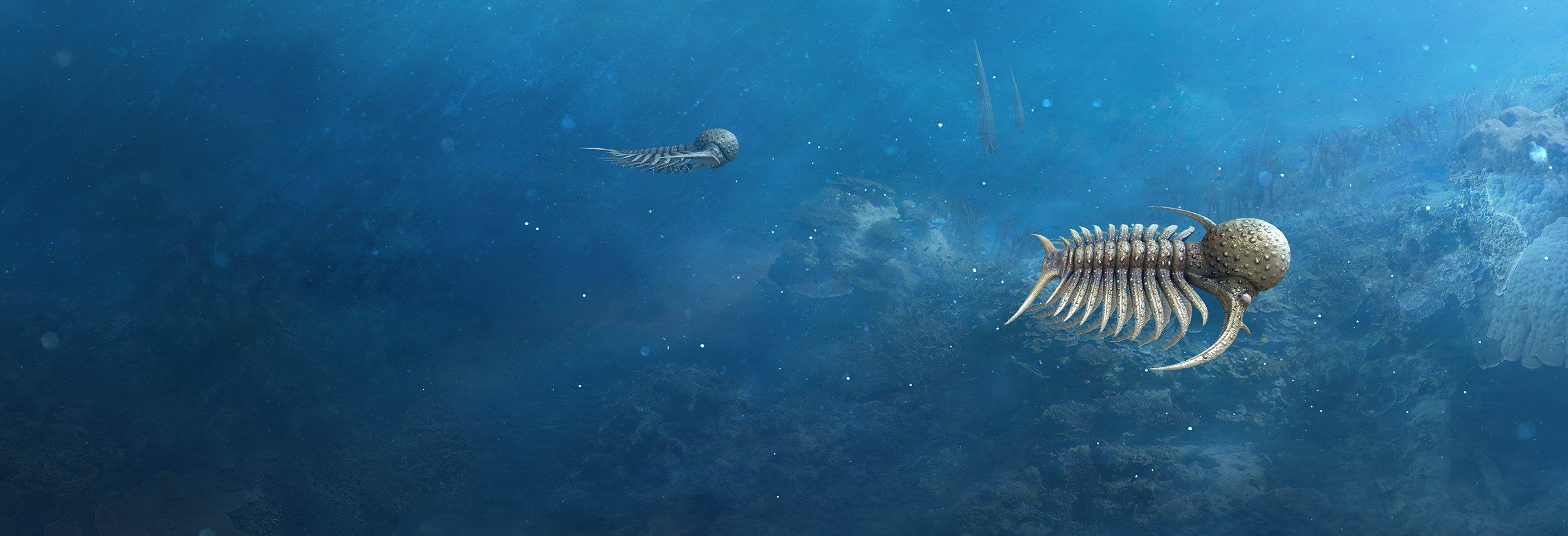 Mightyfossils - Deiphon, silurian trilobite Deiphon is a Silurian ...