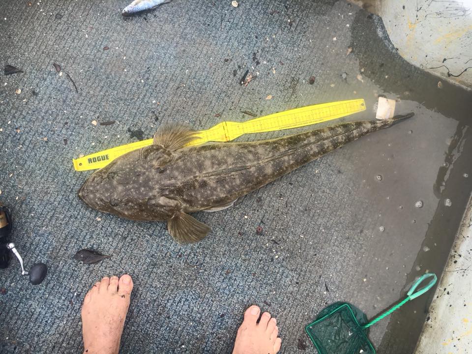 FISHING REPORT 🎣 This 92cm flathead... - Gem Bait & Tackle