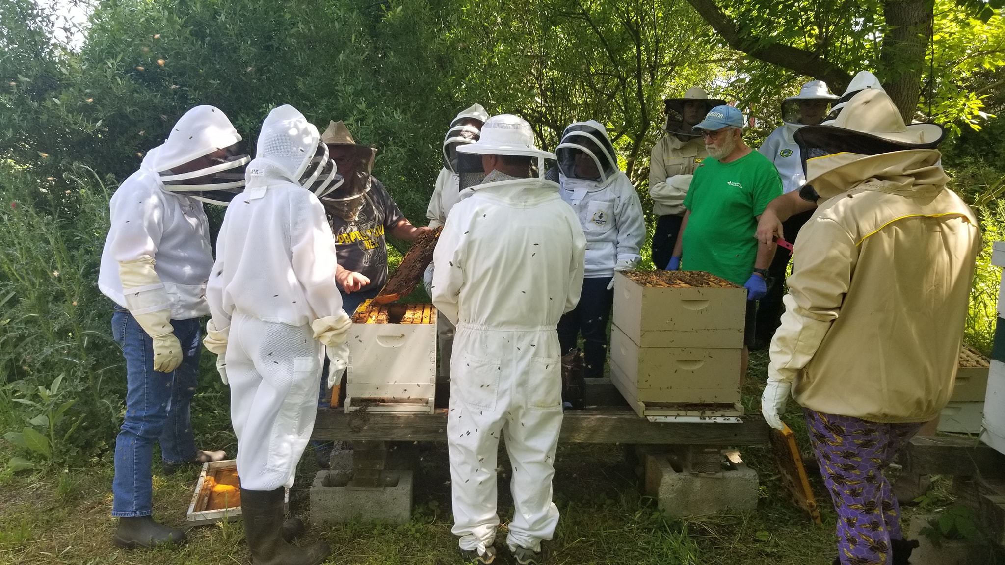 LVBA Monthly Meeting September 2025: PA State Apiary Inspection Program ...