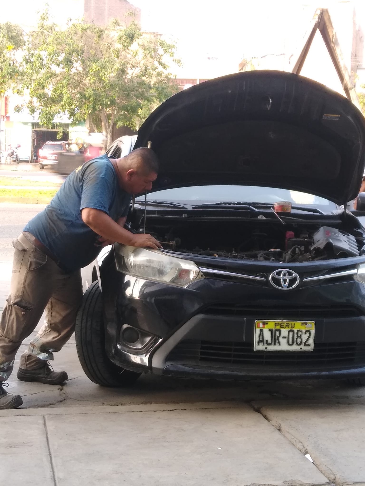 Cesar Motor