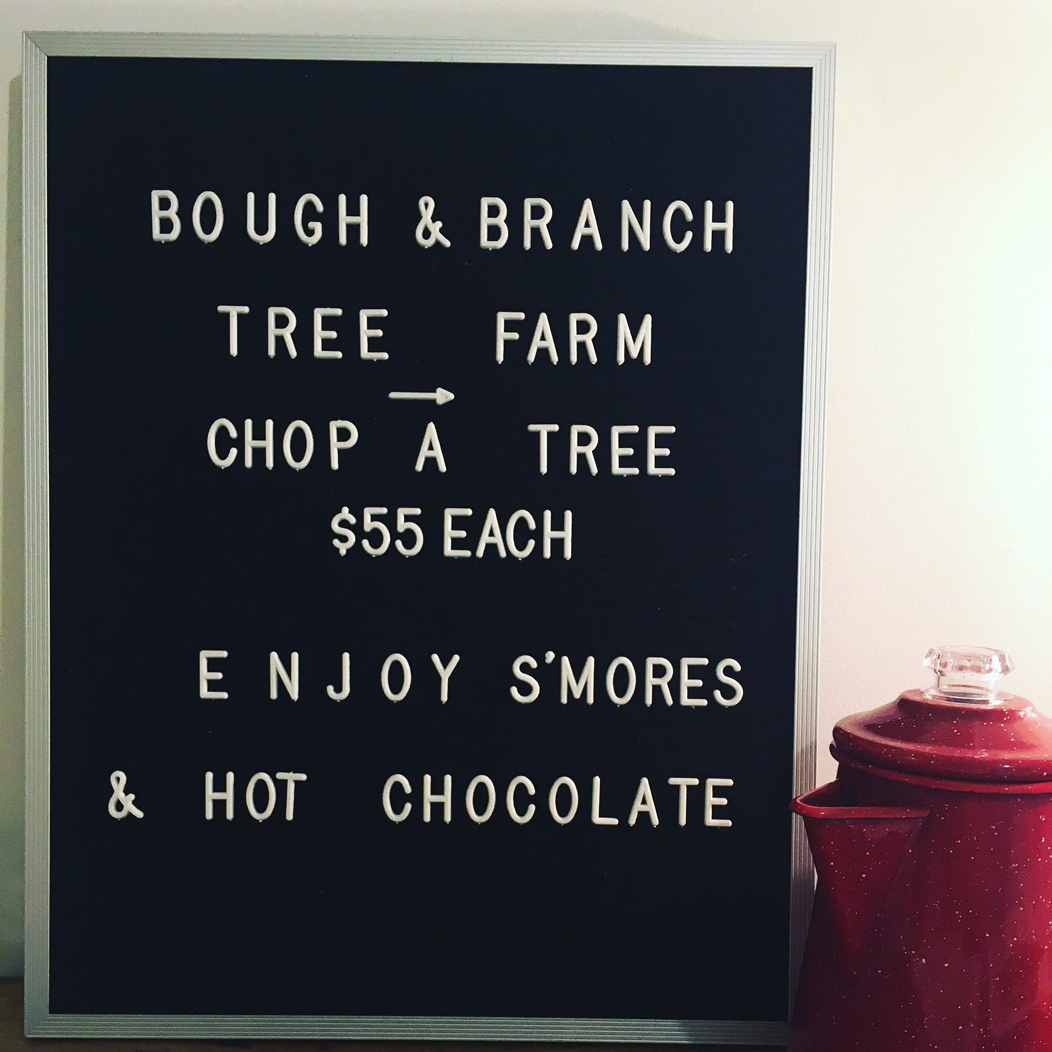 Bough & Branch Christmas Tree Farm | Abbotsford BC