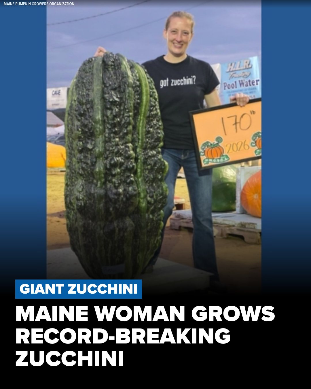 Sarah Whitty grew a 170-pound zucchini — and shattered the North