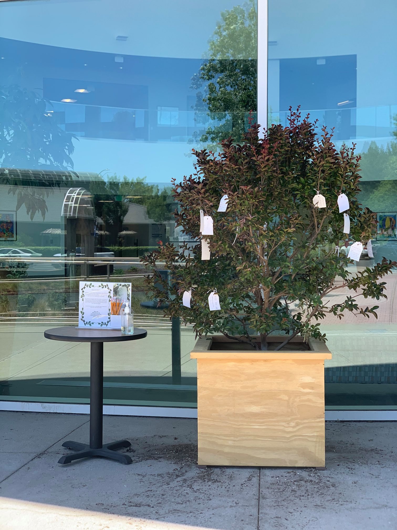 Our Wish Tree is growing!... - City of San Ramon - Government