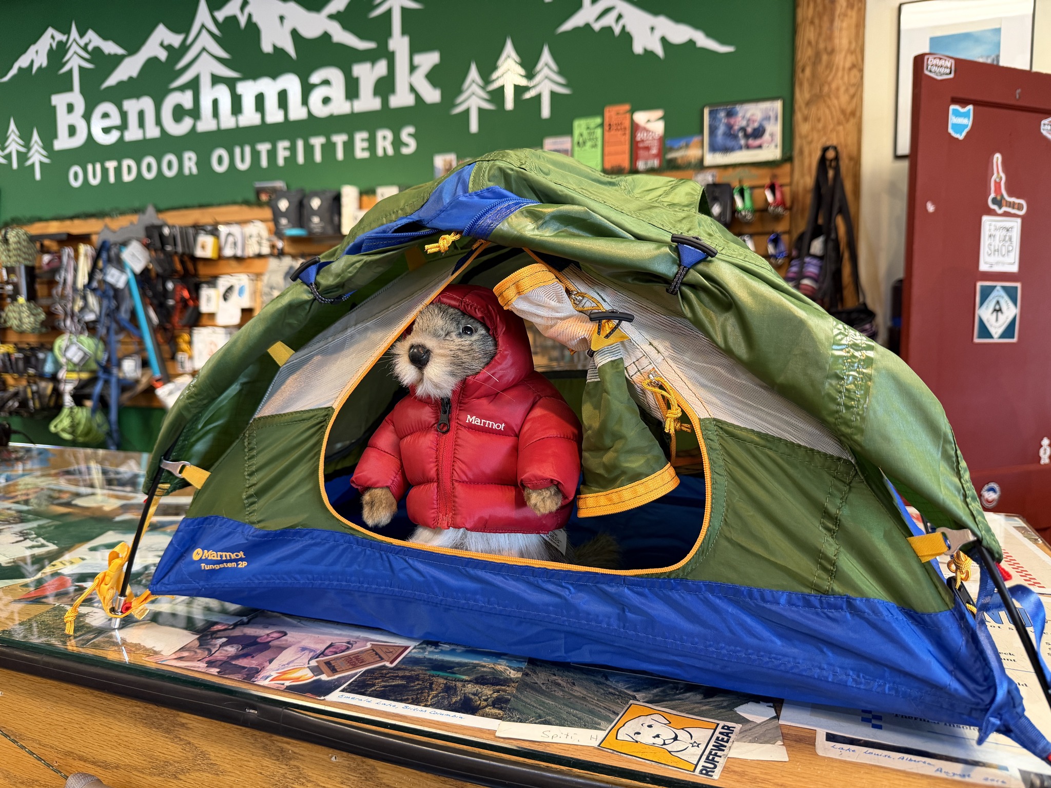forclaz trek 100 zelt Decathlon Tent – DIATONE / SNT /JUSTAIR Size:540(XL) Elektro-Faltrad
