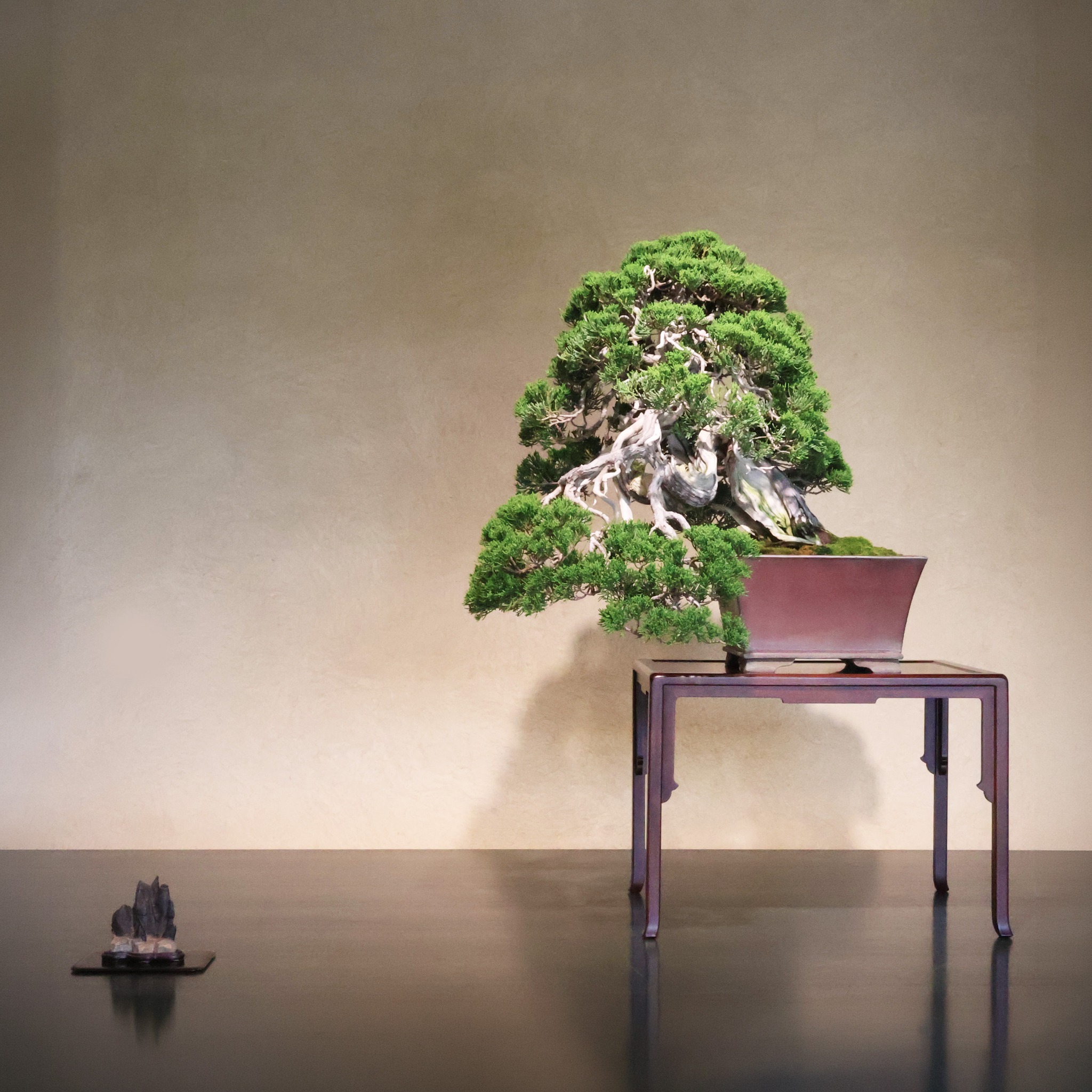 現在の展示 （6/5～6/10） Current Exhibition 吊花（つりばな