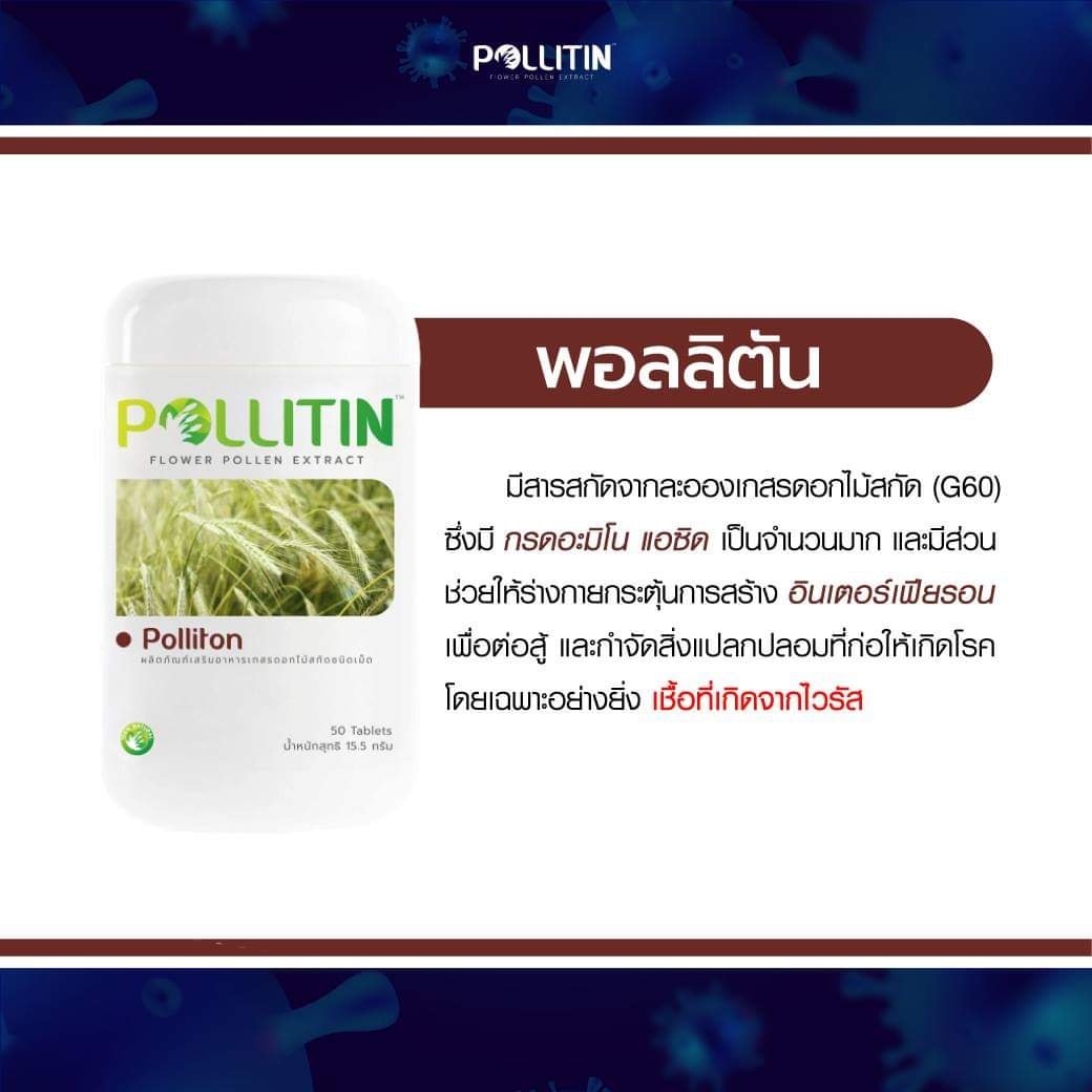 Politin Center-Thailand added a... - Politin Center-Thailand