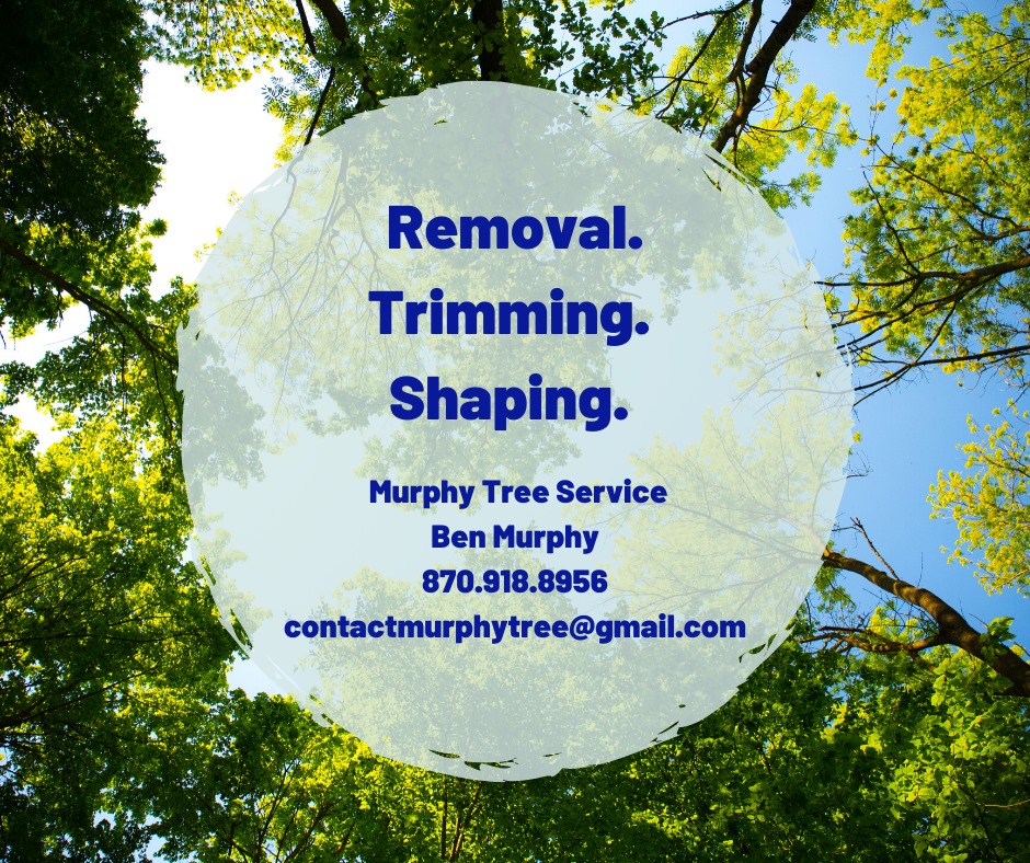 Murphy Tree Service