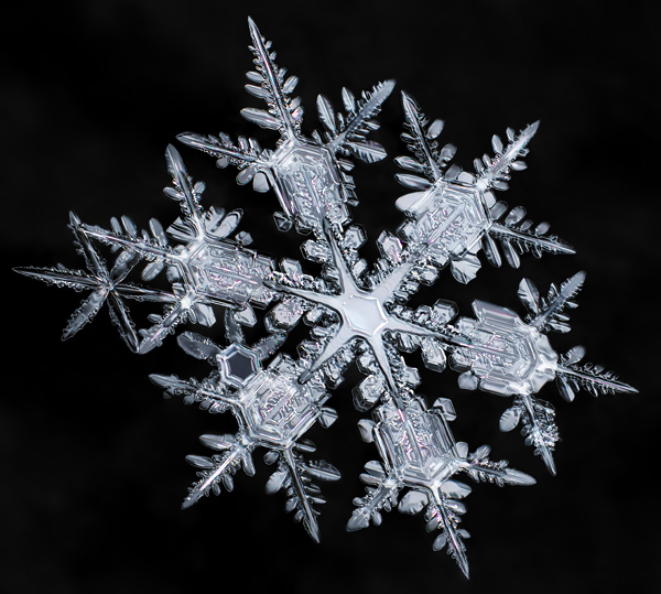 Escentric Molecules - What is more distinct than a snowflake? Nature ...