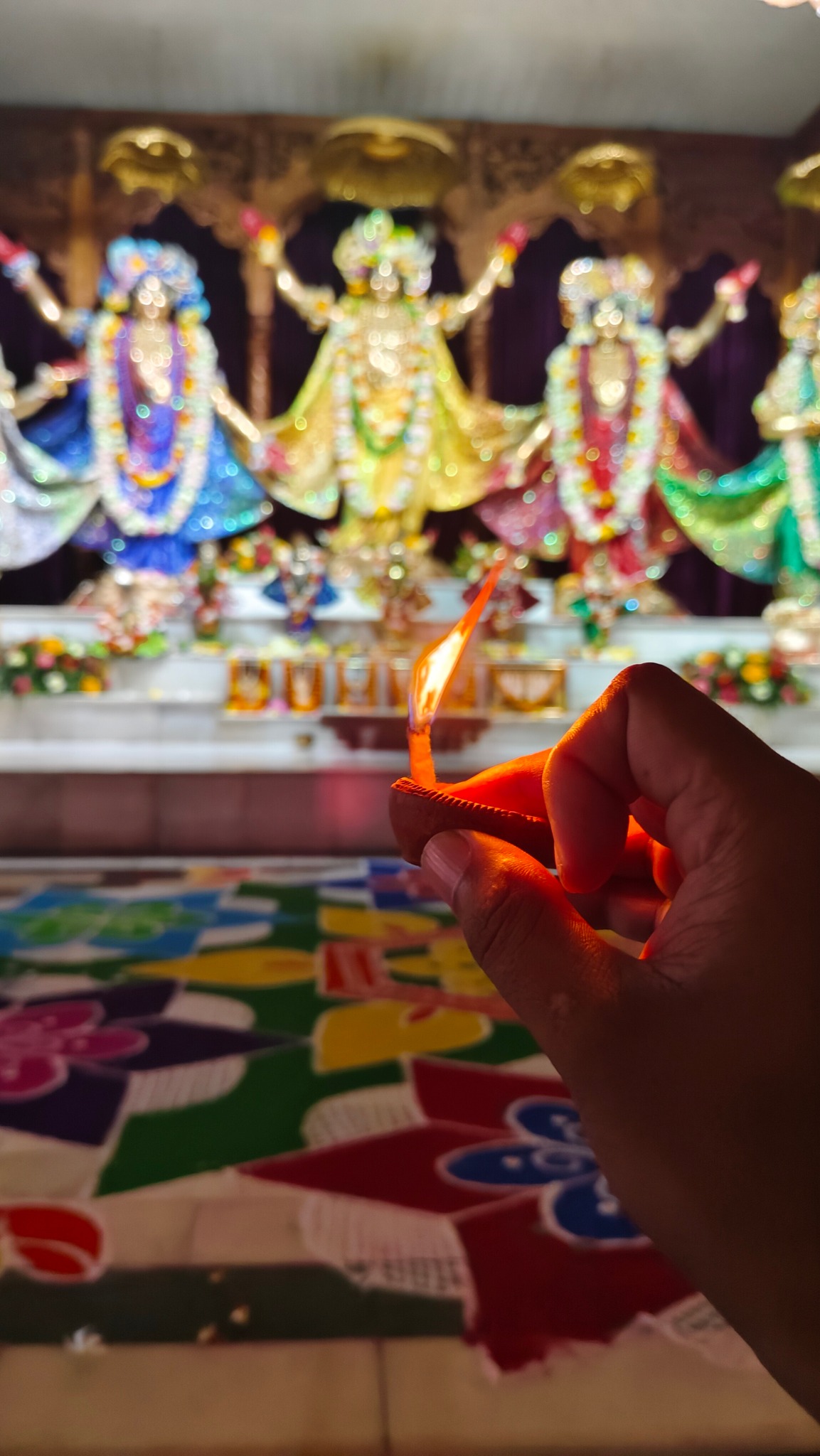 Mayapur Rakhalraja Vlog