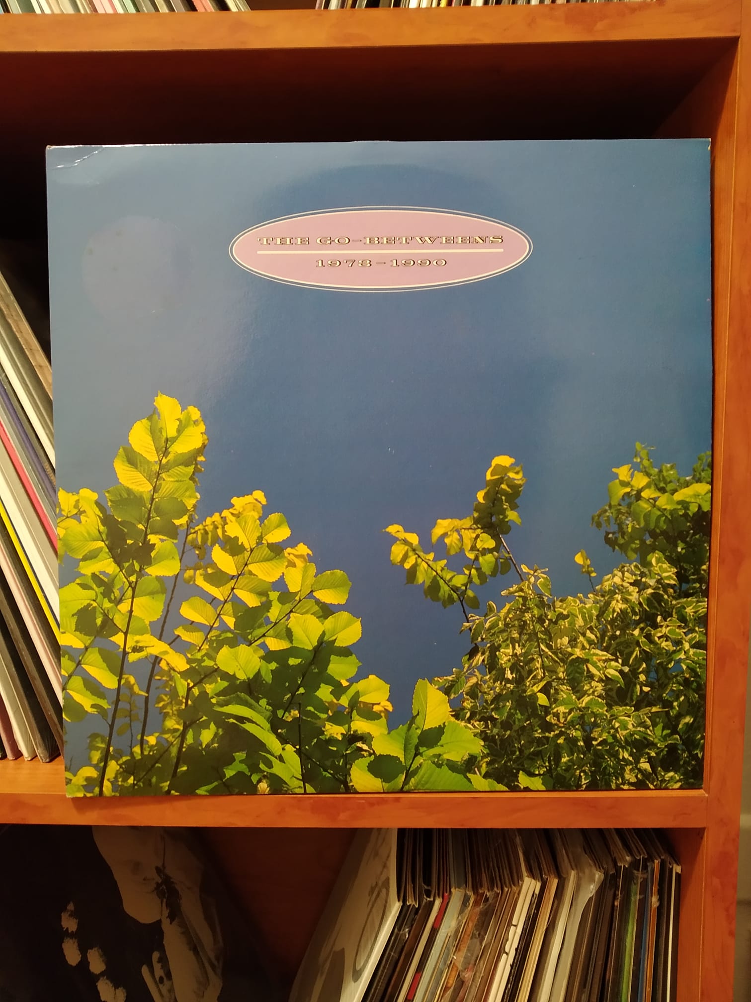 TDLQ feuilles. The Go-Betweens, compilation 