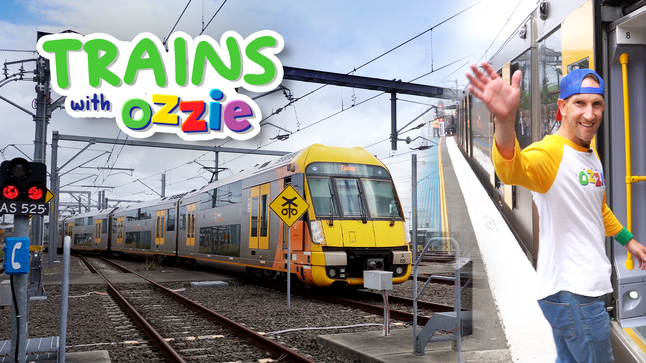 Ozzie - 🚆 All aboard, Ozzie’s train adventure is here! 🚆 Ever wondered ...