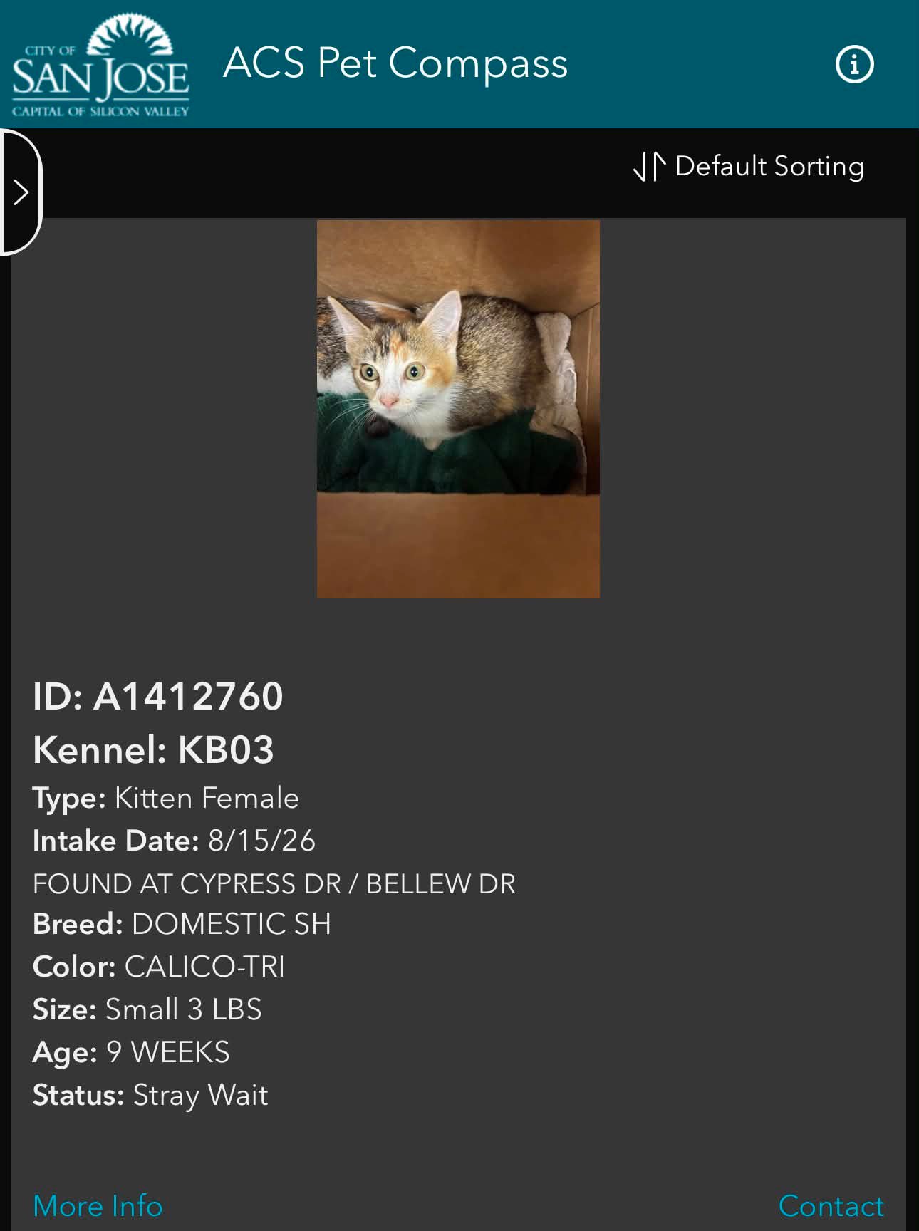 Save A Kitten San Jose added a - Save A Kitten San Jose